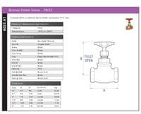 Bronze Globe Valve  PN32  BS5154 Series B/NM