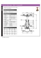Bronze Globe Valve  PN32  NPT