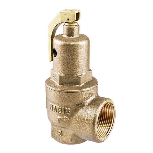Bronze High Lift Safety Relief Valve  with Test Lever