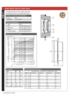 Bronze Wafer Spring Check Valve