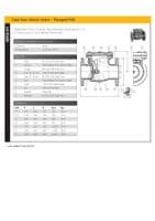 Cast Iron Check Valve  Flanged PN6