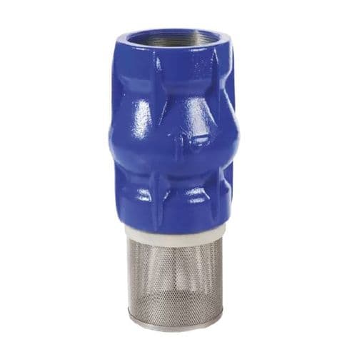 Cast Iron Check Valve & Strainer  NBR Seat