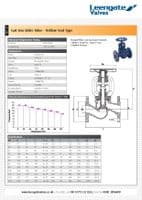 Cast Iron Globe Valve  Bellow Seal Type  Flanged PN16