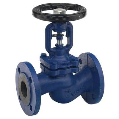 Cast Iron Globe Valve  Bellow Seal Type  Flanged PN16