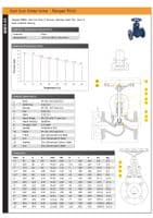 Cast Iron Globe Valve  Flanged PN16