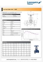 Cast Steel Globe Valve  SDNR  Flanged PN25/40