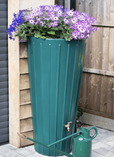 Cosmopolitan Water Butt Planters