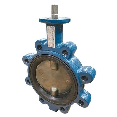Ductile Iron Lugged & Tapped Butterfly Valve  Low Torque  NBR PN10 / PN16