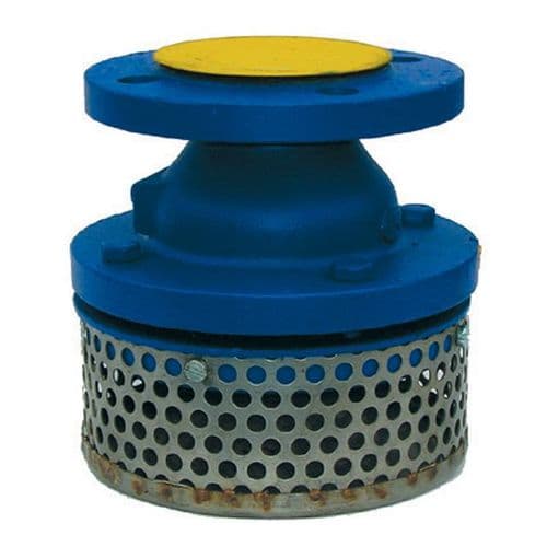 Foot Valve & Strainer  Flanged PN10
