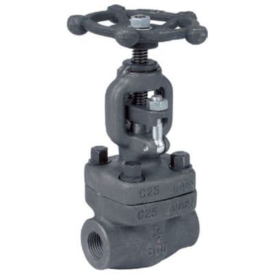 Forged Steel Globe Valve  Screwed BSPT