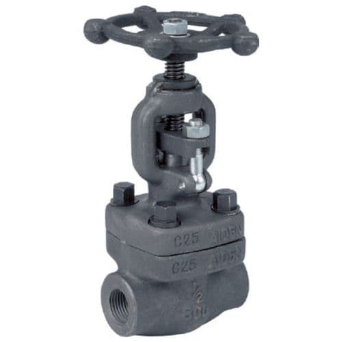 Forged Steel Globe Valve  Screwed NPT