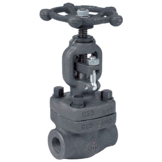 Forged Steel Globe Valve  Screwed NPT