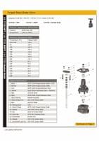 Forged Steel Globe Valve  Socket Weld
