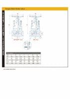 Forged Steel Globe Valve  Socket Weld