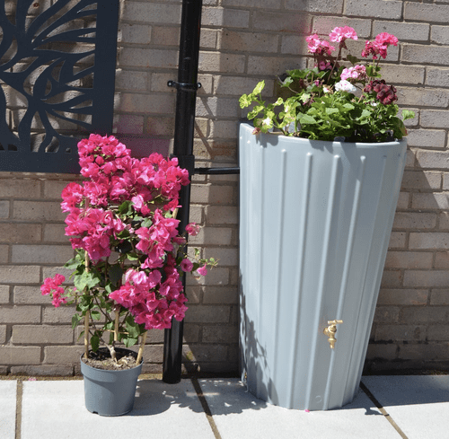 Grey Cosmo Mini Water Butt Planter