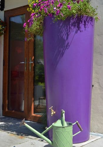 Purple Big City Water Butt Planter