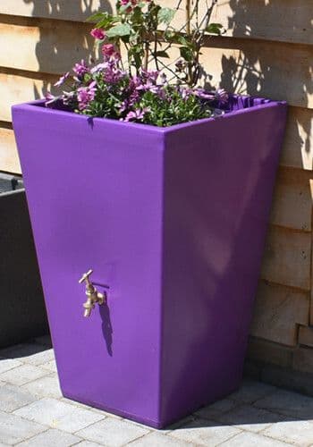 Purple Cambridge Water Butt Planter