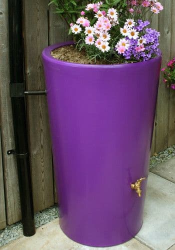 Purple City Water Butt Planter - 180 Litre