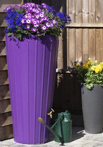 Purple Cosmo Water Butt Planter - 200 Litre