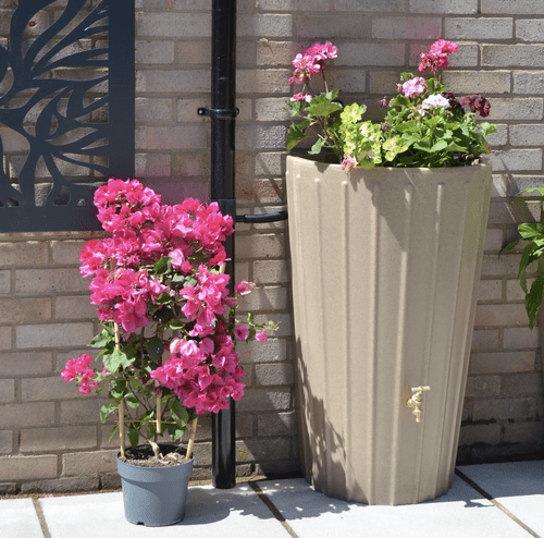 Sandstone Cosmo Mini Water Butt Planter