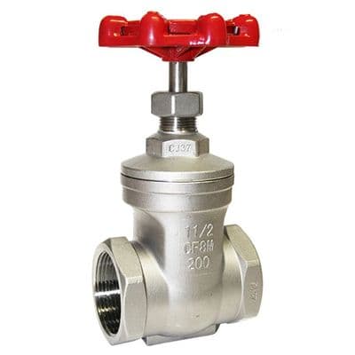 Stainless Steel Gate Valve  BSPP