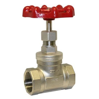 Stainless Steel Globe Valve  Screwed BSPP