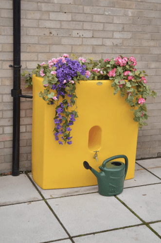 Yellow Oasis 375 Litre Water Butt Planter