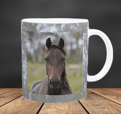 Australian Brumby Ceramic Mug