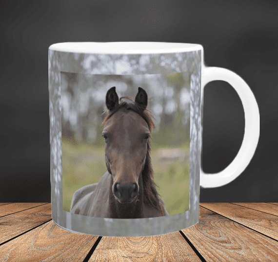 Australian Brumby Ceramic Mug