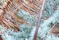 Autumn Willow Frame Basket Workshop Red Lodge Millennium Centre