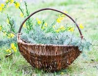 Autumn Willow Frame Basket Workshop Red Lodge Millennium Centre