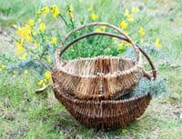 Autumn Willow Frame Basket Workshop Red Lodge Millennium Centre
