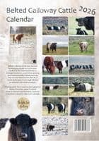 Belted Galloway Cattle Calendar 2026