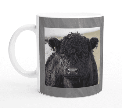 Belted Galloway Cattle Individually Printed Mug
