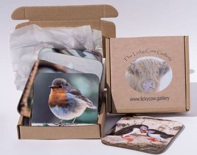 British Bird Coasters