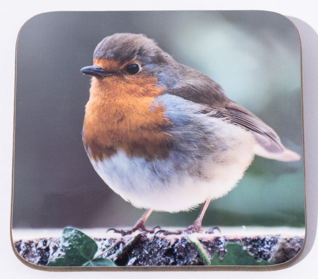 British Bird Coasters - Main Image