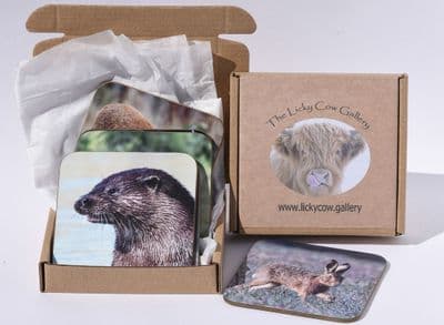 British Mammal Coasters