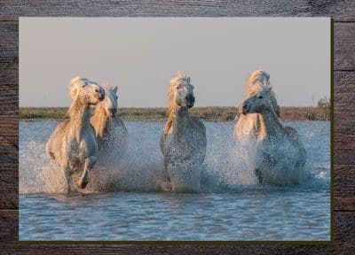 Camargue Horses Glass Chopping Board Large Size Toughened Glass