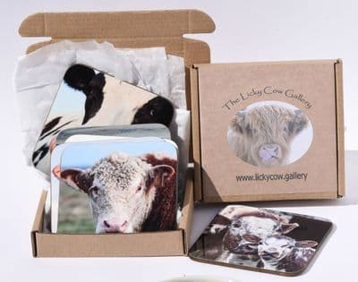 Cattle Breed Coasters