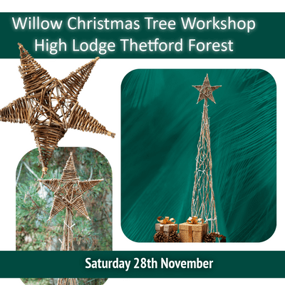 Christmas Tree  Workshop High Lodge Thetford Forest