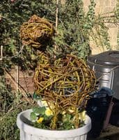Duck and Goose Willow Sculpture Workshop BTO Thetford