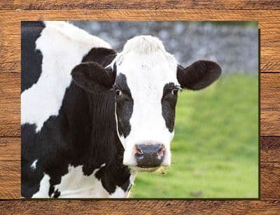 Friesian Cow Glass Chopping Board Large toughened glass