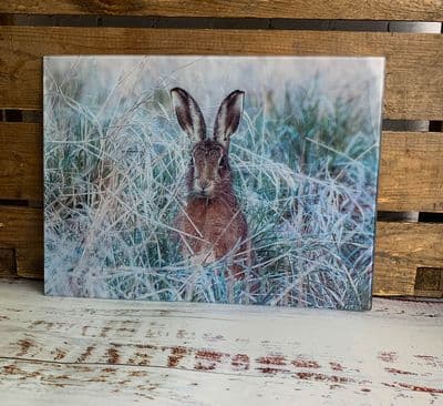 Frosty Leveret Hare Glass Chopping Board Large Size Toughened Glass