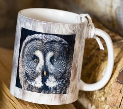 Great Grey Owl Ceramic Mug