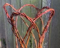 Growing Willow Harlequin Trees Workshop Red Lodge Millennium Centre