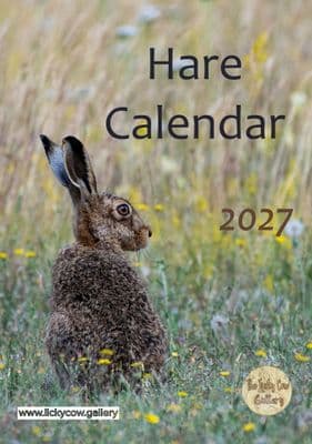 Hare Calendar 2027-dispatch mid-August