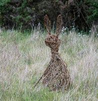 Hare Willow Sculpture Workshop Red Lodge Millennium Centre