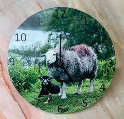 Herdwick Sheep and Lamb Battery Wall Clock