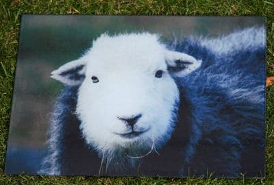 Herdwick Sheep Face Glass Chopping Board Large Size Toughened Glass