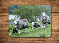Herdwick Sheep Place Mats